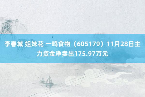 李春城 姐妹花 一鸣食物（605179）11月28日主力资金净卖出175.97万元