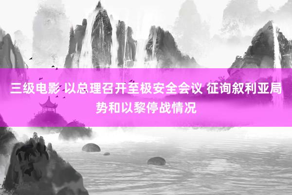 三级电影 以总理召开至极安全会议 征询叙利亚局势和以黎停战情况