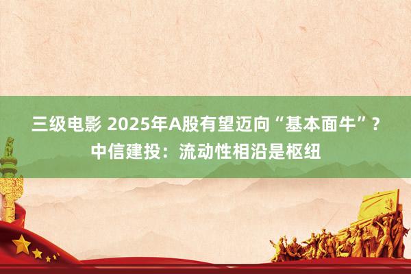 三级电影 2025年A股有望迈向“基本面牛”？中信建投：流动性相沿是枢纽