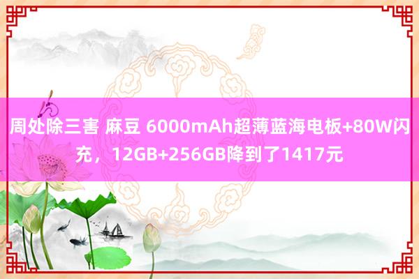 周处除三害 麻豆 6000mAh超薄蓝海电板+80W闪充，12GB+256GB降到了1417元