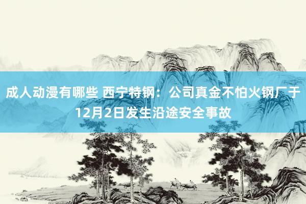 成人动漫有哪些 西宁特钢：公司真金不怕火钢厂于12月2日发生沿途安全事故