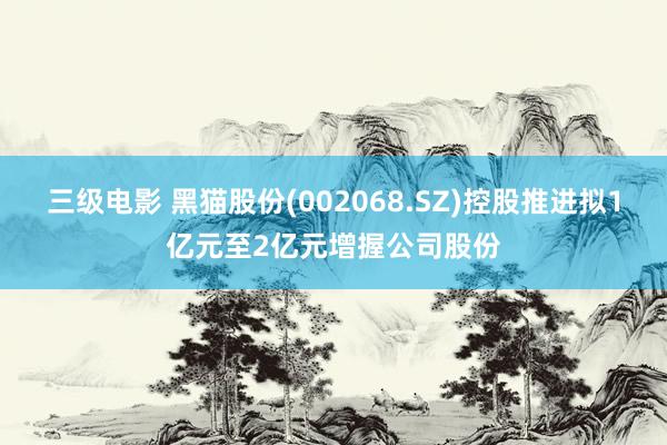 三级电影 黑猫股份(002068.SZ)控股推进拟1亿元至2亿元增握公司股份