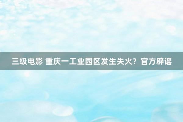 三级电影 重庆一工业园区发生失火？官方辟谣