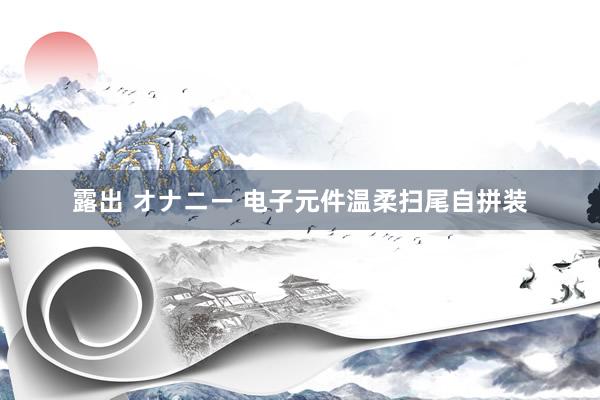 露出 オナニー 电子元件温柔扫尾自拼装