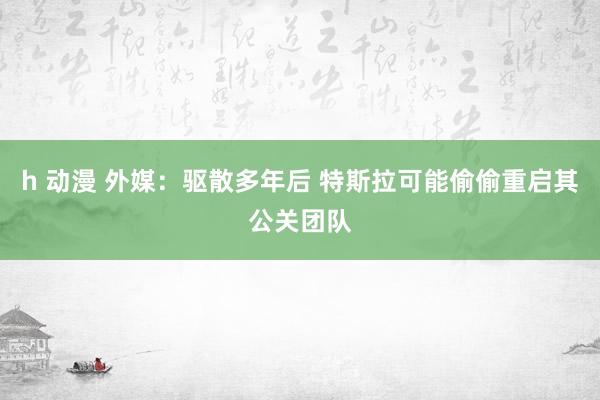 h 动漫 外媒：驱散多年后 特斯拉可能偷偷重启其公关团队