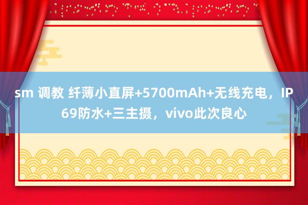 sm 调教 纤薄小直屏+5700mAh+无线充电，IP69防水+三主摄，vivo此次良心