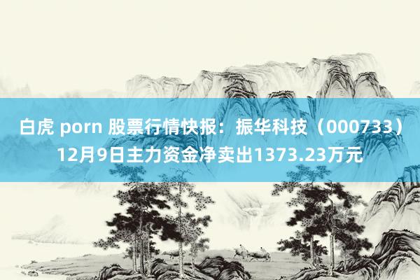 白虎 porn 股票行情快报：振华科技（000733）12月9日主力资金净卖出1373.23万元