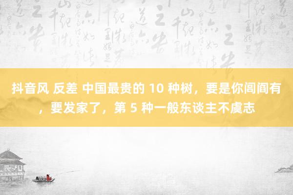 抖音风 反差 中国最贵的 10 种树，要是你闾阎有，要发家了，第 5 种一般东谈主不虞志