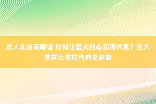 成人动漫有哪些 如何让爱犬的心获得休息？五大慈祥让你的狗狗更健康