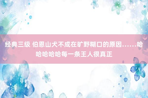 经典三级 伯恩山犬不成在旷野糊口的原因……哈哈哈哈哈每一条王人很真正