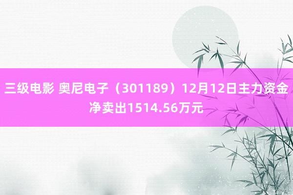 三级电影 奥尼电子（301189）12月12日主力资金净卖出1514.56万元