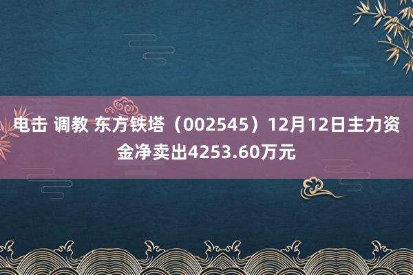 电击 调教 东方铁塔（002545）12月12日主力资金净卖出4253.60万元