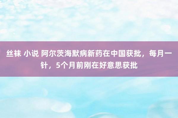 丝袜 小说 阿尔茨海默病新药在中国获批，每月一针，5个月前刚在好意思获批