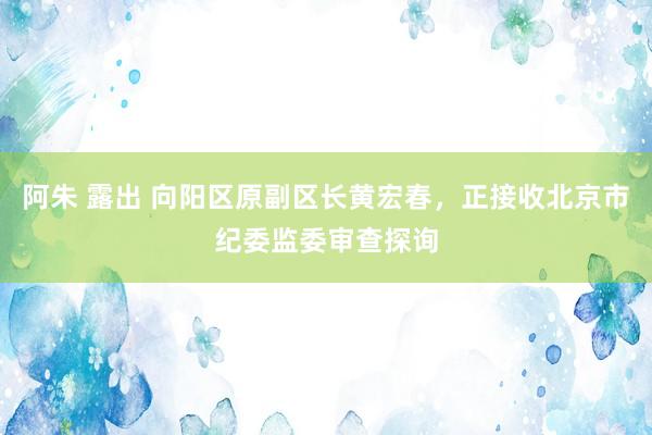 阿朱 露出 向阳区原副区长黄宏春，正接收北京市纪委监委审查探询