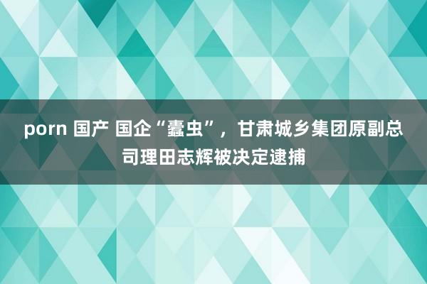 porn 国产 国企“蠹虫”，甘肃城乡集团原副总司理田志辉被决定逮捕