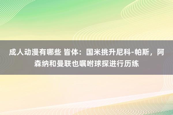 成人动漫有哪些 皆体：国米挑升尼科-帕斯，阿森纳和曼联也嘱咐球探进行历练