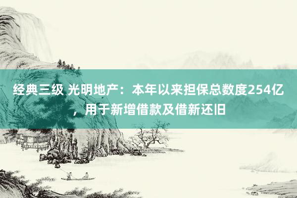 经典三级 光明地产：本年以来担保总数度254亿，用于新增借款及借新还旧