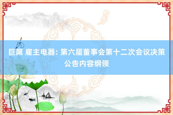 巨屌 雇主电器: 第六届董事会第十二次会议决策公告内容纲领