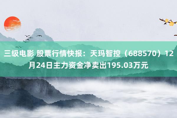 三级电影 股票行情快报：天玛智控（688570）12月24日主力资金净卖出195.03万元