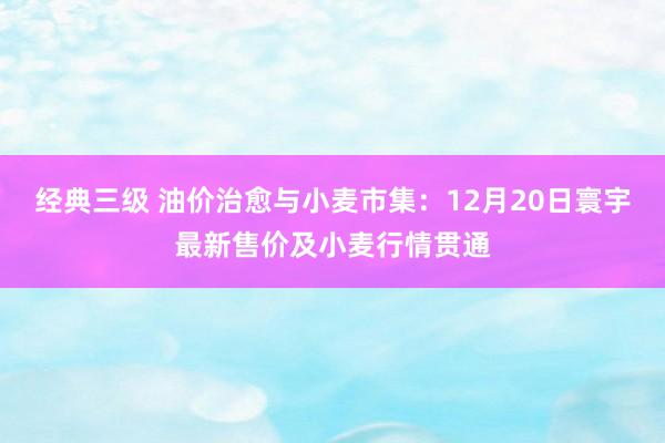 经典三级 油价治愈与小麦市集：12月20日寰宇最新售价及小麦行情贯通