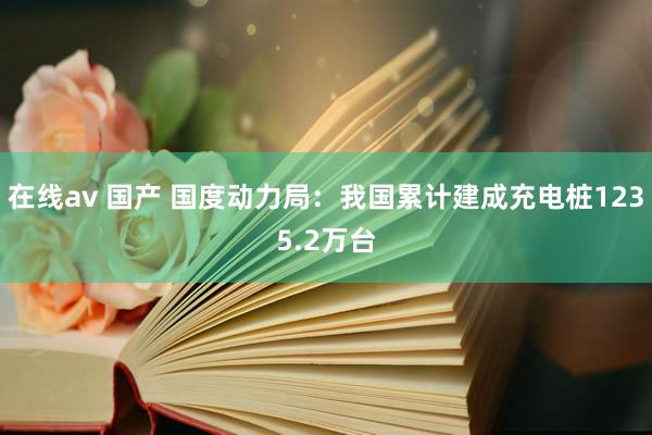 在线av 国产 国度动力局：我国累计建成充电桩1235.2万台