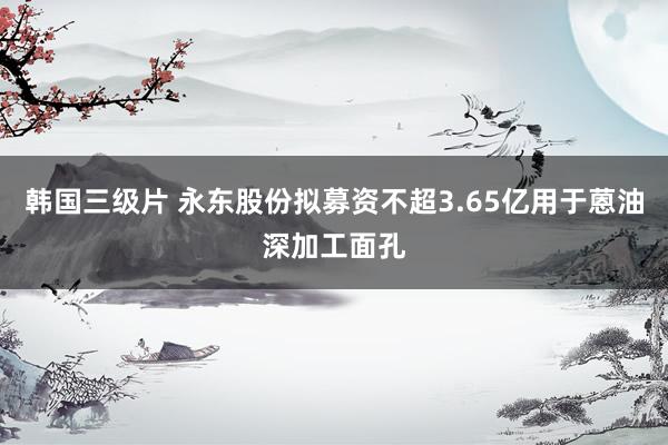 韩国三级片 永东股份拟募资不超3.65亿用于蒽油深加工面孔