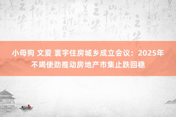 小母狗 文爱 寰宇住房城乡成立会议：2025年不竭使劲推动房地产市集止跌回稳