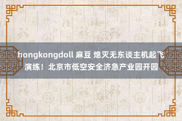 hongkongdoll 麻豆 熄灭无东谈主机起飞演练！北京市低空安全济急产业园开园