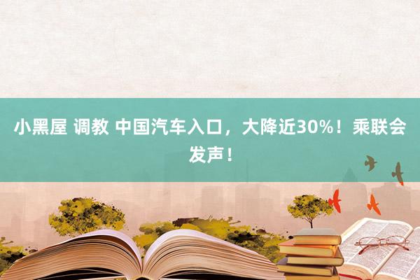 小黑屋 调教 中国汽车入口，大降近30%！乘联会发声！