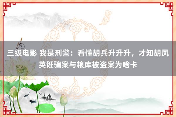 三级电影 我是刑警：看懂胡兵升升升，才知胡凤英诳骗案与粮库被盗案为啥卡