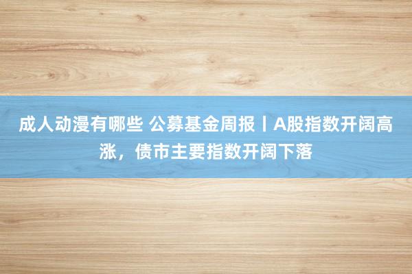 成人动漫有哪些 公募基金周报丨A股指数开阔高涨，债市主要指数开阔下落