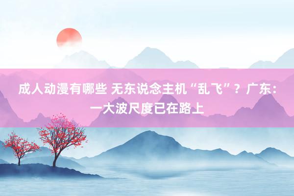 成人动漫有哪些 无东说念主机“乱飞”？广东：一大波尺度已在路上