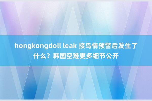 hongkongdoll leak 接鸟情预警后发生了什么？韩国空难更多细节公开