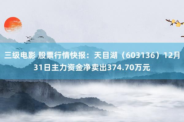 三级电影 股票行情快报：天目湖（603136）12月31日主力资金净卖出374.70万元