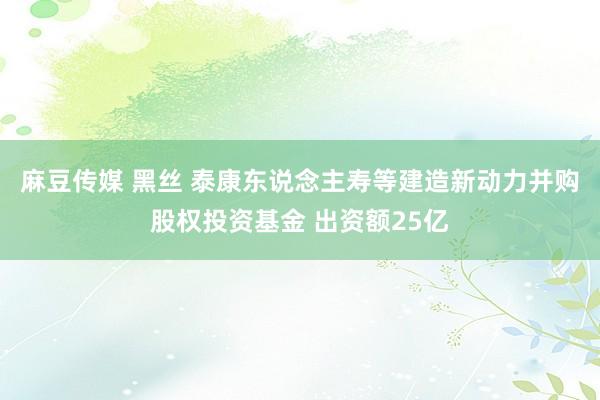 麻豆传媒 黑丝 泰康东说念主寿等建造新动力并购股权投资基金 出资额25亿