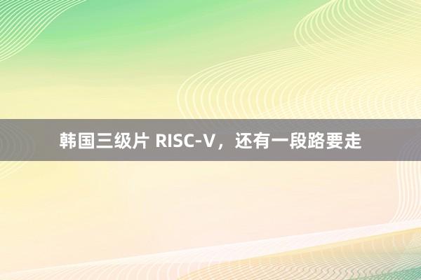 韩国三级片 RISC-V，还有一段路要走