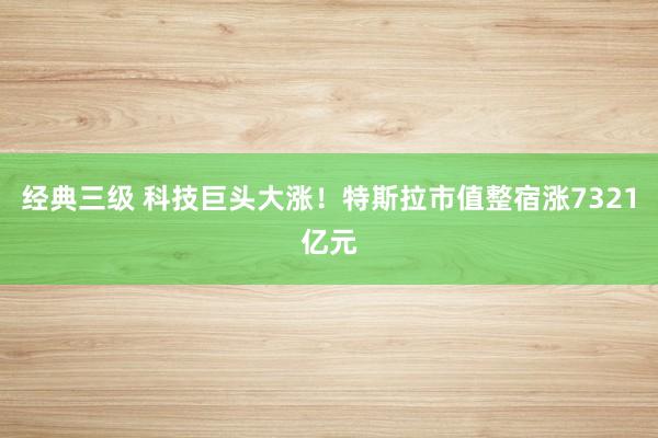 经典三级 科技巨头大涨！特斯拉市值整宿涨7321亿元