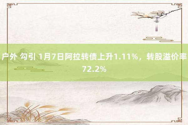 户外 勾引 1月7日阿拉转债上升1.11%，转股溢价率72.2%