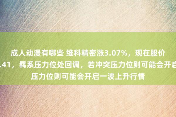 成人动漫有哪些 维科精密涨3.07%，现在股价围聚压力位25.41，羁系压力位处回调，若冲突压力位则可能会开启一波上升行情