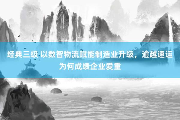 经典三级 以数智物流赋能制造业升级，逾越速运为何成绩企业爱重