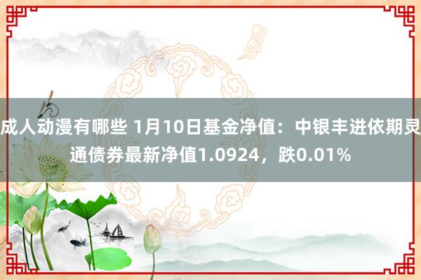 成人动漫有哪些 1月10日基金净值：中银丰进依期灵通债券最新净值1.0924，跌0.01%