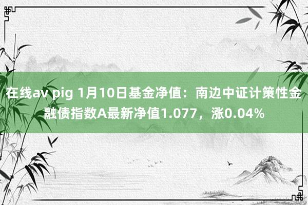 在线av pig 1月10日基金净值：南边中证计策性金融债指数A最新净值1.077，涨0.04%