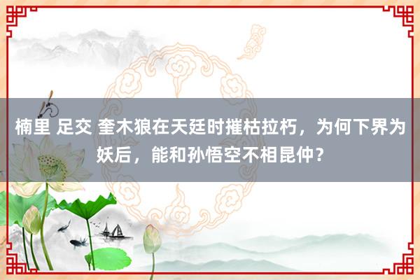 楠里 足交 奎木狼在天廷时摧枯拉朽，为何下界为妖后，能和孙悟空不相昆仲？