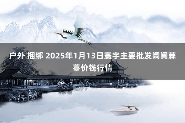 户外 捆绑 2025年1月13日寰宇主要批发阛阓蒜薹价钱行情