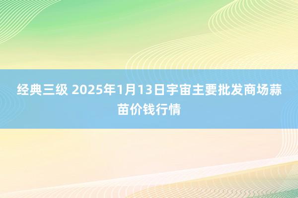 经典三级 2025年1月13日宇宙主要批发商场蒜苗价钱行情