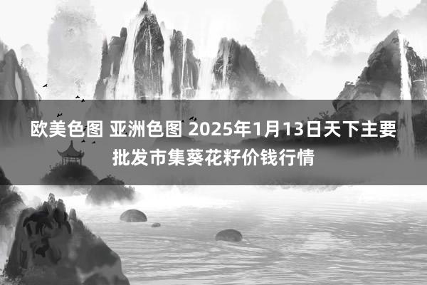 欧美色图 亚洲色图 2025年1月13日天下主要批发市集葵花籽价钱行情