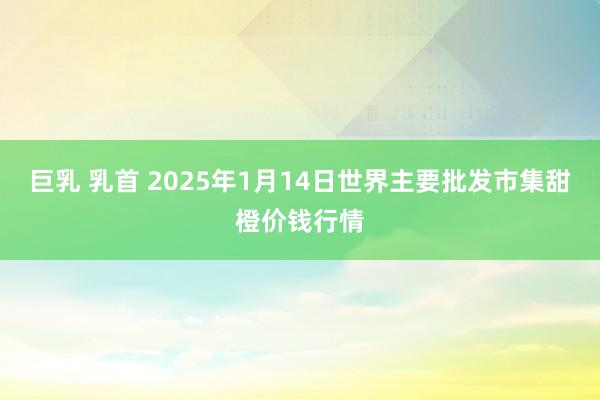 巨乳 乳首 2025年1月14日世界主要批发市集甜橙价钱行情