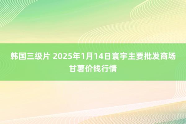 韩国三级片 2025年1月14日寰宇主要批发商场甘薯价钱行情