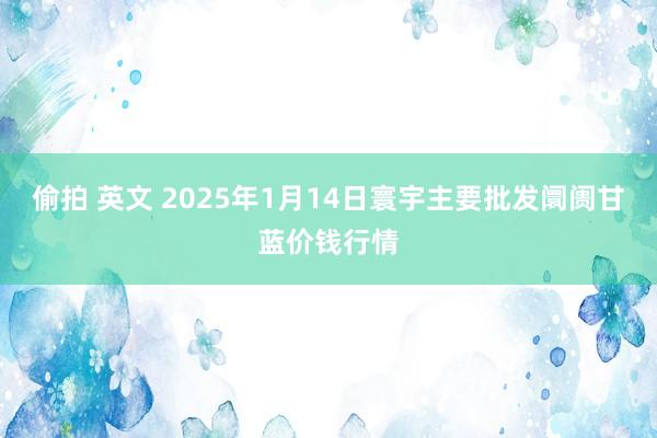 偷拍 英文 2025年1月14日寰宇主要批发阛阓甘蓝价钱行情