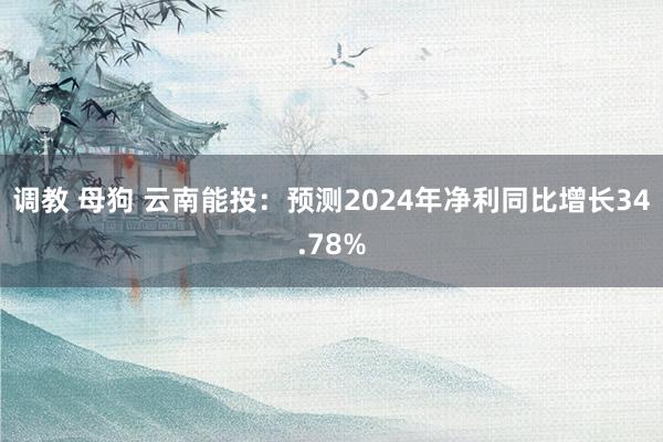 调教 母狗 云南能投：预测2024年净利同比增长34.78%